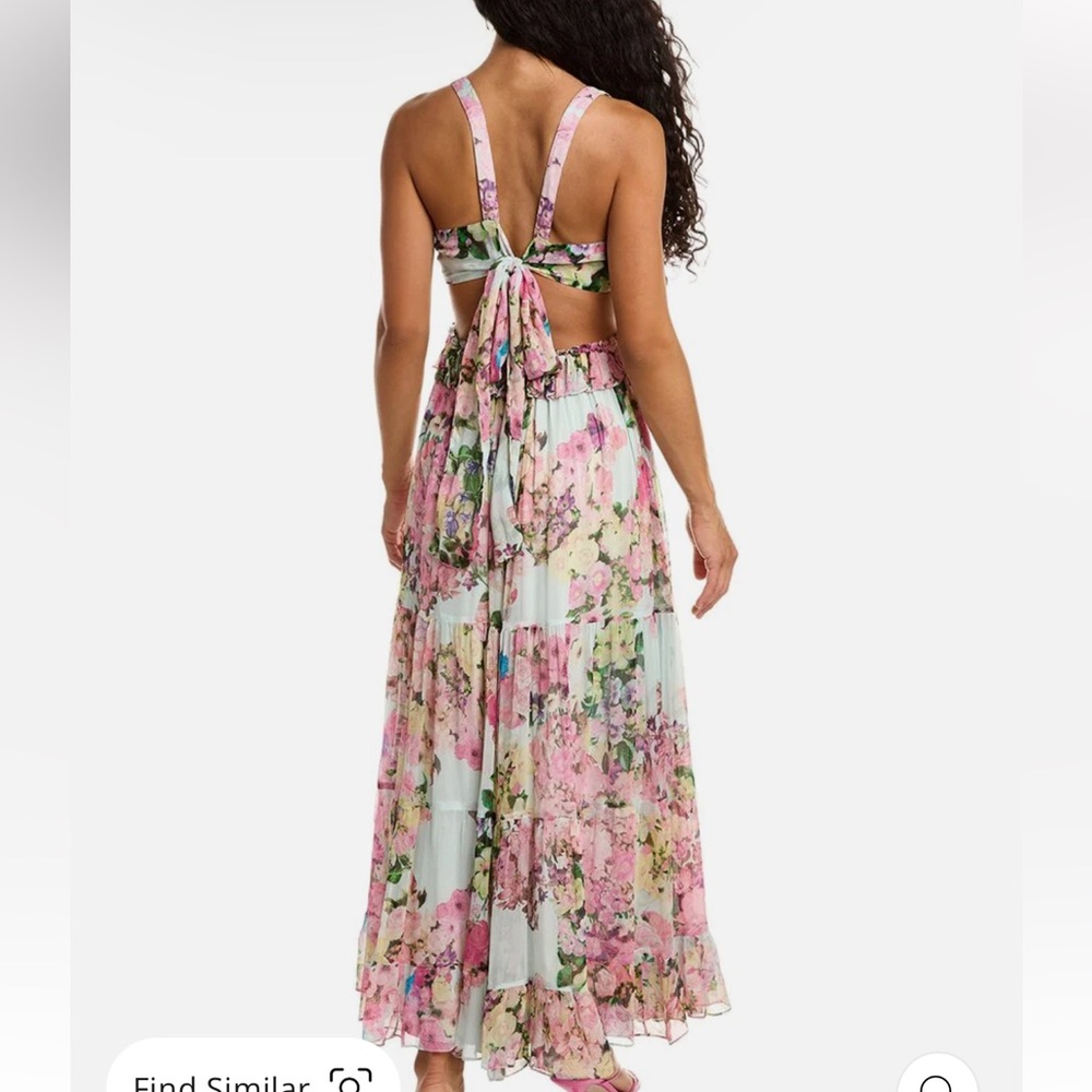 ISO Rococo Sand Mist Maxi Dress - Picture 2 of 2